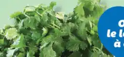 IGA FRESH CORIANDER offer