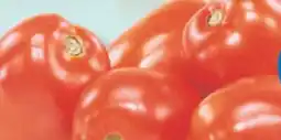 IGA ROMA ITALIAN TOMATOES offer