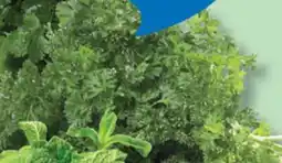 IGA CURLY PARSLEY offer