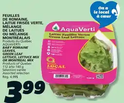 IGA AQUAVERTI BABY ROMAINE LEAVES, GREEN LEAF LETTUCE, LETTUCE MIX OR MONTREAL MIX offer