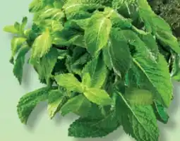 IGA MINT offer