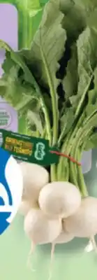 IGA GREENHOUSE RED RADISH offer