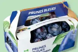 IGA BLUE PLUMS offer