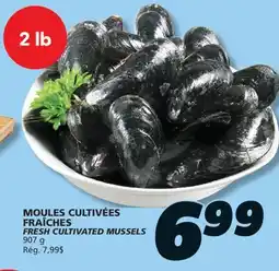 IGA FRESH CULTIVATED MUSSELS offer