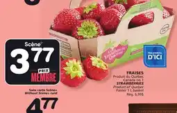 Marches Tradition STRAWBERRIES offer