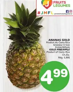 Marches Tradition GOLD PINEAPPLE offer