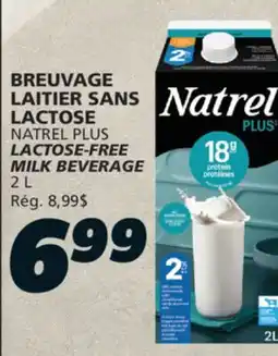 IGA NATREL PLUS LACTOSE-FREE MILK BEVERAGE offer