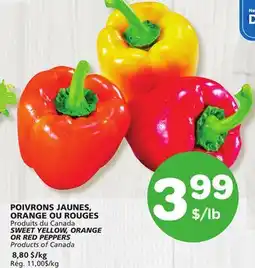 Marches Tradition SWEET YELLOW, ORANGE OR RED PEPPERS offer