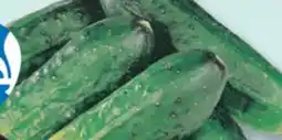 IGA CUCUMBERS FOR MARINATING offer