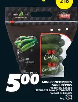 IGA SEEDLESS MINI CUCUMBERS offer