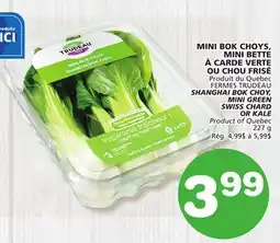Marches Tradition FERMES TRUDEAU SHANGHAI BOK CHOY, MINI GREEN SWISS CHARD OR KALE offer