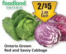 Starsky Ontario Grown Red and Savoy Cabbage offer