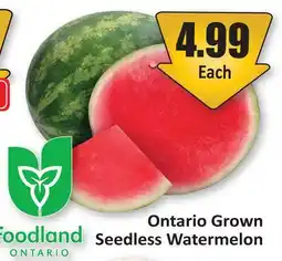 Starsky Ontario Grown Seedless Watermelon offer
