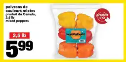 Super C poivrons de couleurs mixtes offer