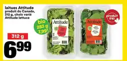 Super C laitues Attitude offer