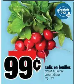 Super C radis en feuilles offer