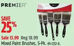 Canadian Tire Premier Mixed Paint Brushes, 5-Pk offer