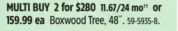 Canadian Tire Boxwood Tree offer