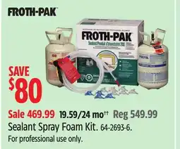 Canadian Tire Sealant Spray Foam Kit offer