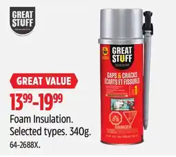 Canadian Tire Foam Insulation offer