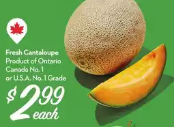 Longo's Fresh Cantaloupe offer