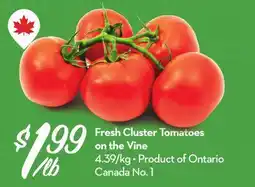 Longo's Fresh Cluster Tomatoes on the Vine offer