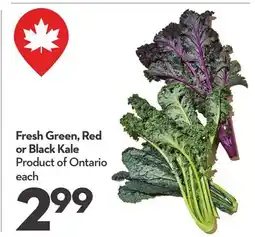 Longo's Fresh Green, Red or Black Kale offer