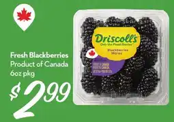 Longo's Fresh Blackberries offer