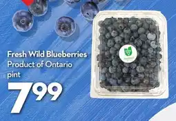 Longo's Fresh Wild Blueberries offer