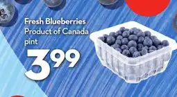 Longo's Fresh Blueberries offer