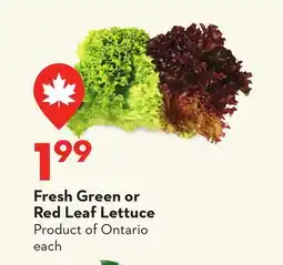 Longo's Fresh Green or Red Leaf Lettuce offer