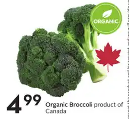 Sobeys Organic Broccoli offer