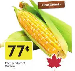 Sobeys Corn offer