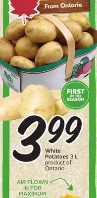 Sobeys White Potatoes offer
