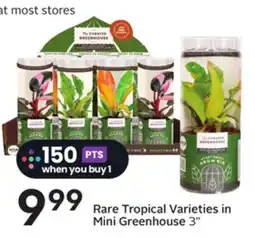Sobeys Rare Tropical Varieties in Mini Greenhouse offer