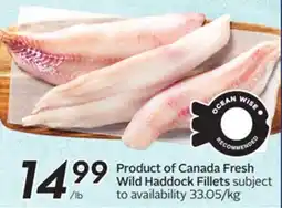 Sobeys Product of Canada Fresh Wild Haddock Fillets offer