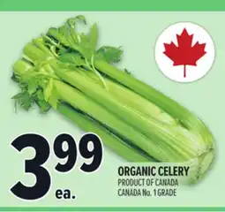 Metro ORGANIC CELERY offer