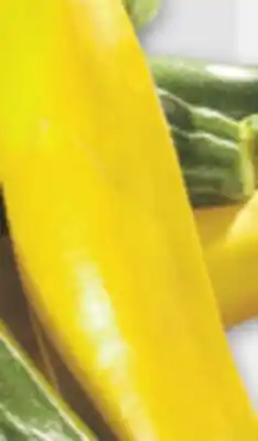 Metro EGGPLANTS OR GREEN OR YELLOW ZUCCHINI offer