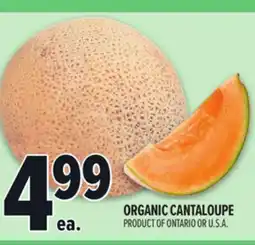 Metro ORGANIC CANTALOUPE offer