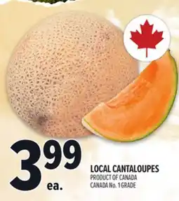 Metro LOCAL CANTALOUPES offer