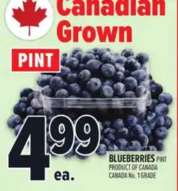 Metro BLUEBERRIES offer