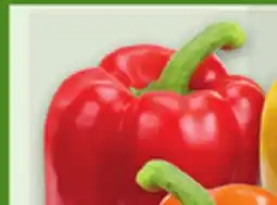 Metro LARGE RED, ORANGE OR YELLOW SWEET PEPPERS offer