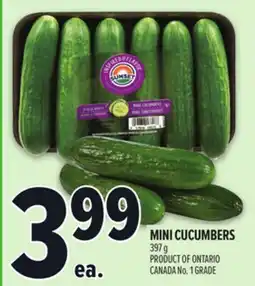 Metro MINI CUCUMBERS offer