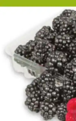 Metro RASPBERRIES 170 G PRODUCT OF U.S.A. OR MEXICO BLACKBERRIES 170 G PRODUCT OF MEXICO offer