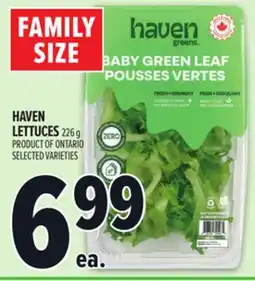 Metro HAVEN LETTUCES offer