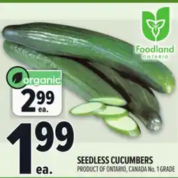 Metro SEEDLESS CUCUMBERS offer