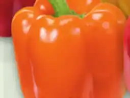 Metro LARGE RED, ORANGE OR YELLOW SWEET PEPPERS offer