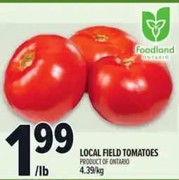 Metro LOCAL FIELD TOMATOES offer
