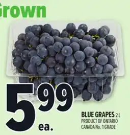 Metro BLUE GRAPES offer