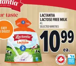 Metro LACTANTIA LACTOSE FREE MILK offer